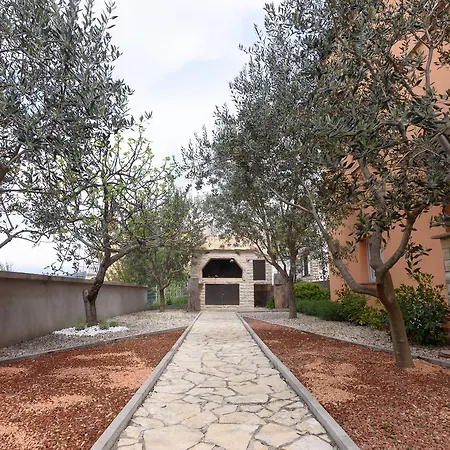 Maslina * Gornji Karin