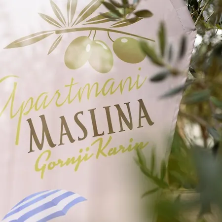 Maslina * Gornji Karin