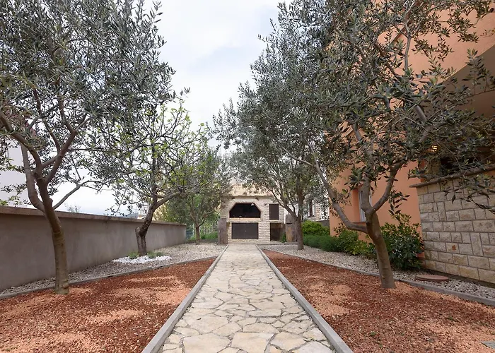 Maslina * Gornji Karin