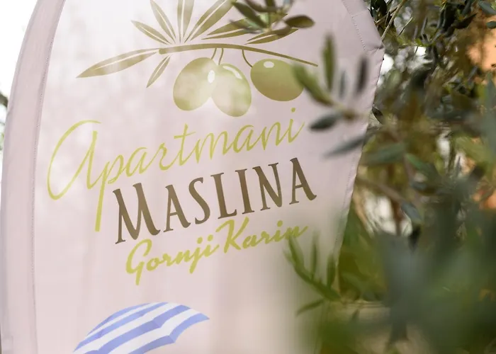Maslina * Gornji Karin