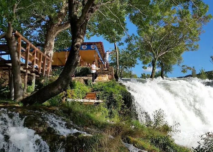 Maslina * 格基卡琳