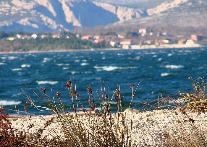 Maslina Gornji Karin